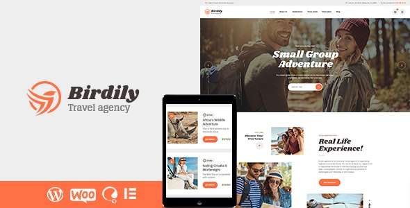 Premium WordPress Theme name: Birdily