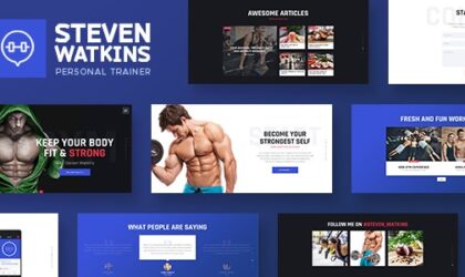 Premium WordPress Theme name: Steven