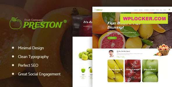 Premium WordPress Theme name: Preston