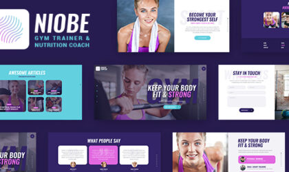 Premium WordPress Theme name: Niobe