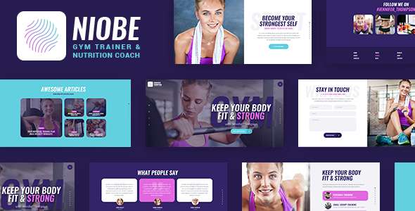 Premium WordPress Theme name: Niobe