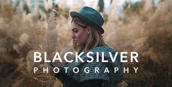 Premium WordPress Theme name: Blacksilver