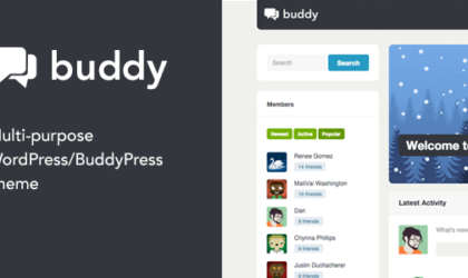 Premium WordPress Theme name: Buddy