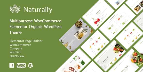 Premium WordPress Theme name: Naturally