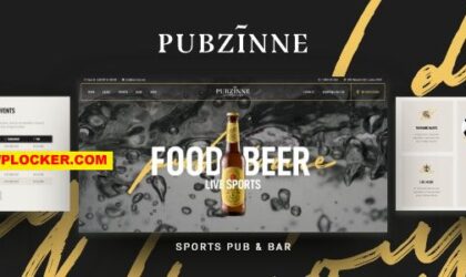 Premium WordPress Theme name: Pubzinne