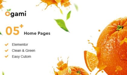 Premium WordPress Theme name: Ogami