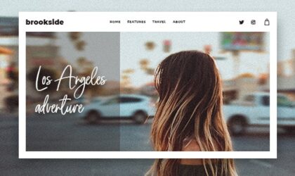 Premium WordPress Theme name: Brookside