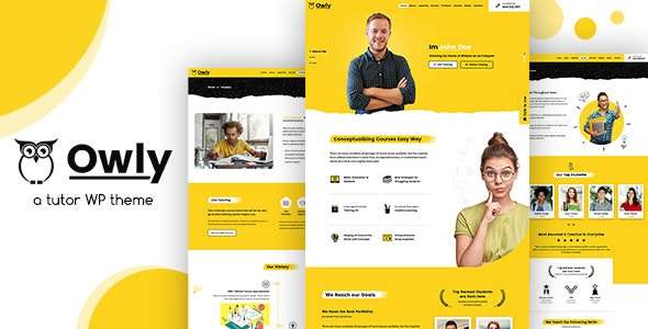 Premium WordPress Theme name: Owly