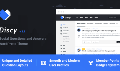 Premium WordPress Theme name: Discy